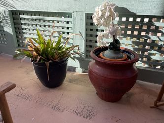 Garden Pots