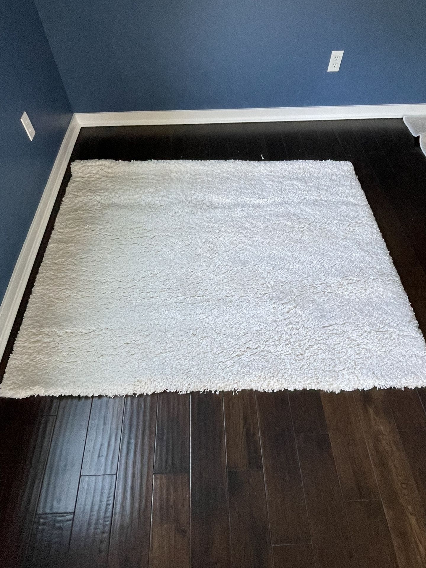 Pottery Barn Stain Resistant Luxe Shag Rug,64"x52", Ivory