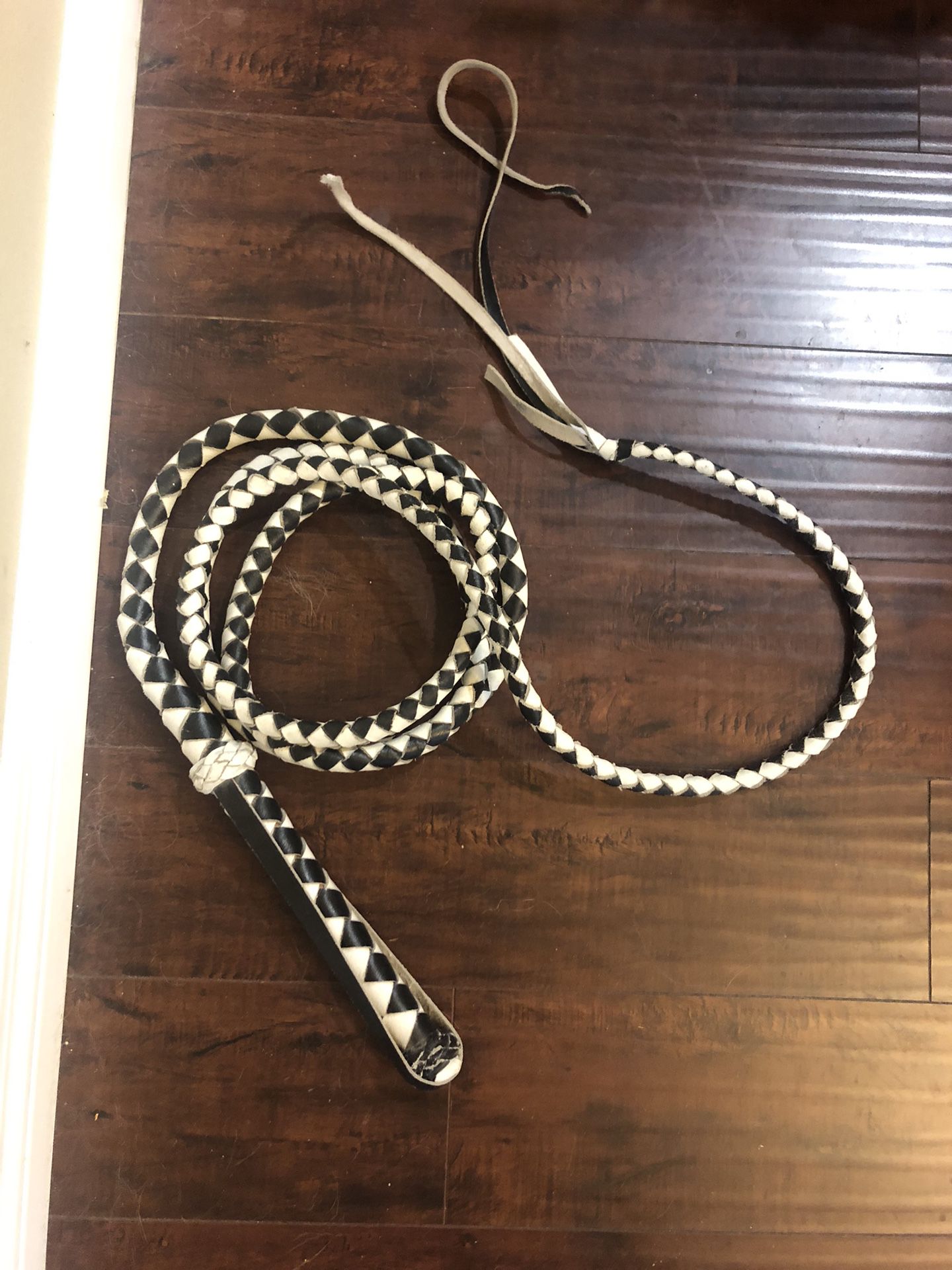 Blk and white Bull whip approx 9’