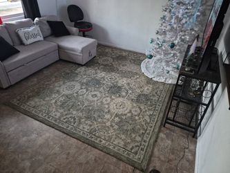 Area Rug