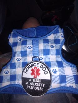 Dog harness