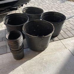 Large / Small Pots 