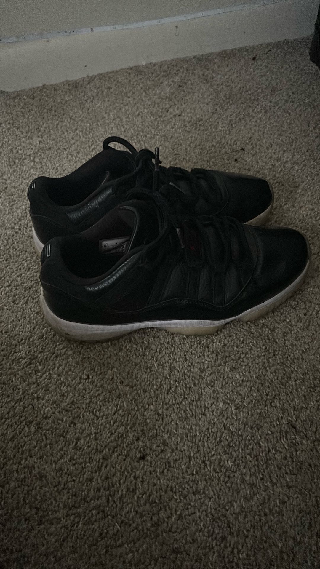 Jordan 10.5 Retro Low 72-10