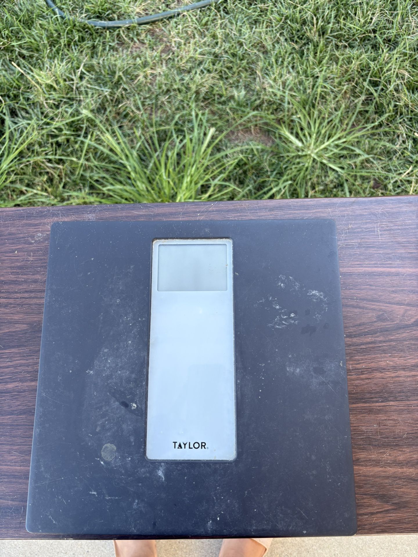 Scale