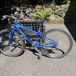 Blue Trek Hybrid 7.2 FX WSD Bike, 15” Frame 