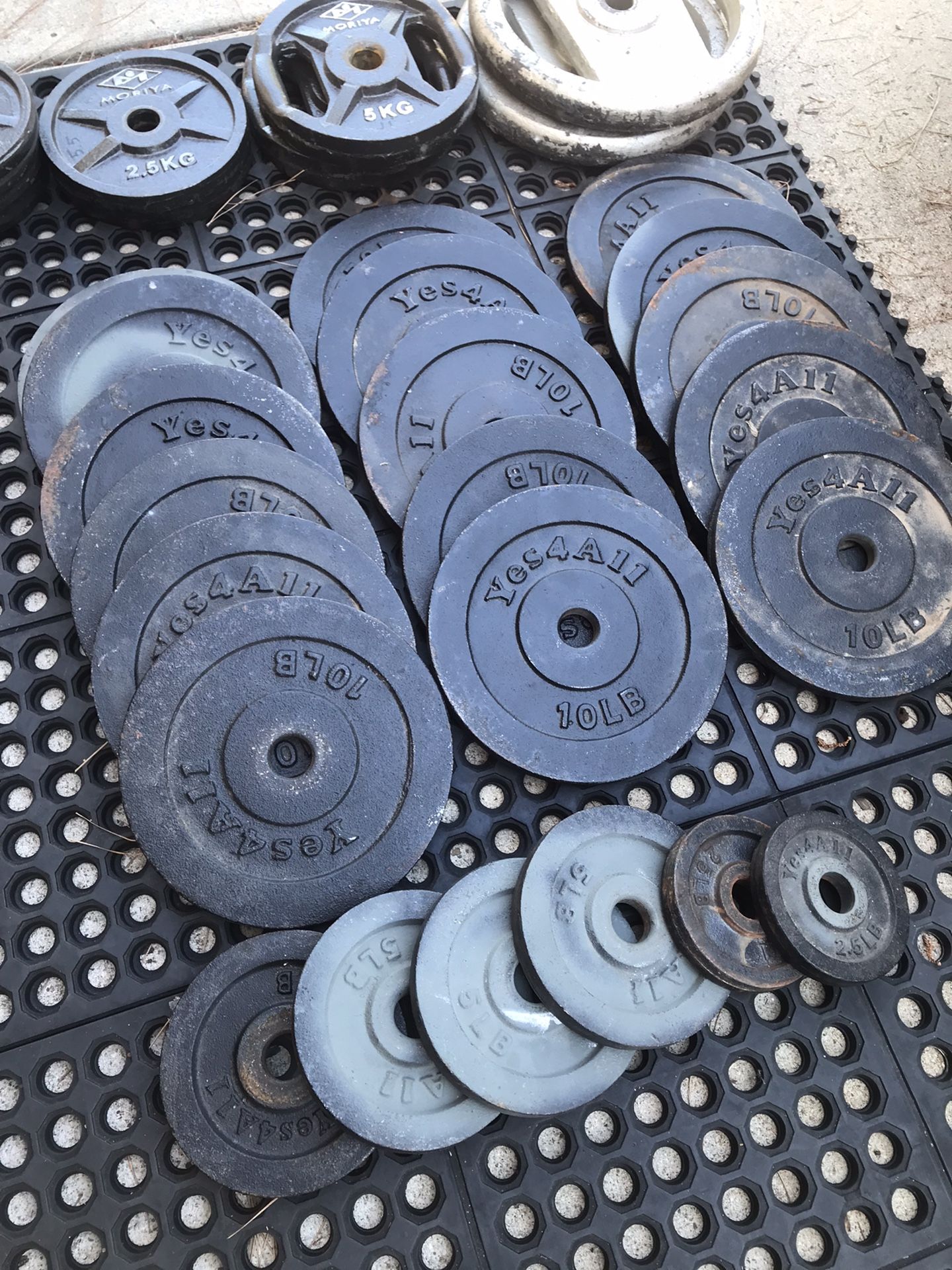Weights With Barbell And Dumbbell Handles 
