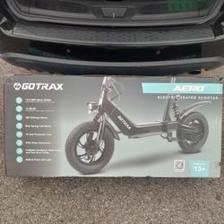 Electric Scooter