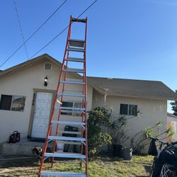 Louisville 24 Foot Ladder 