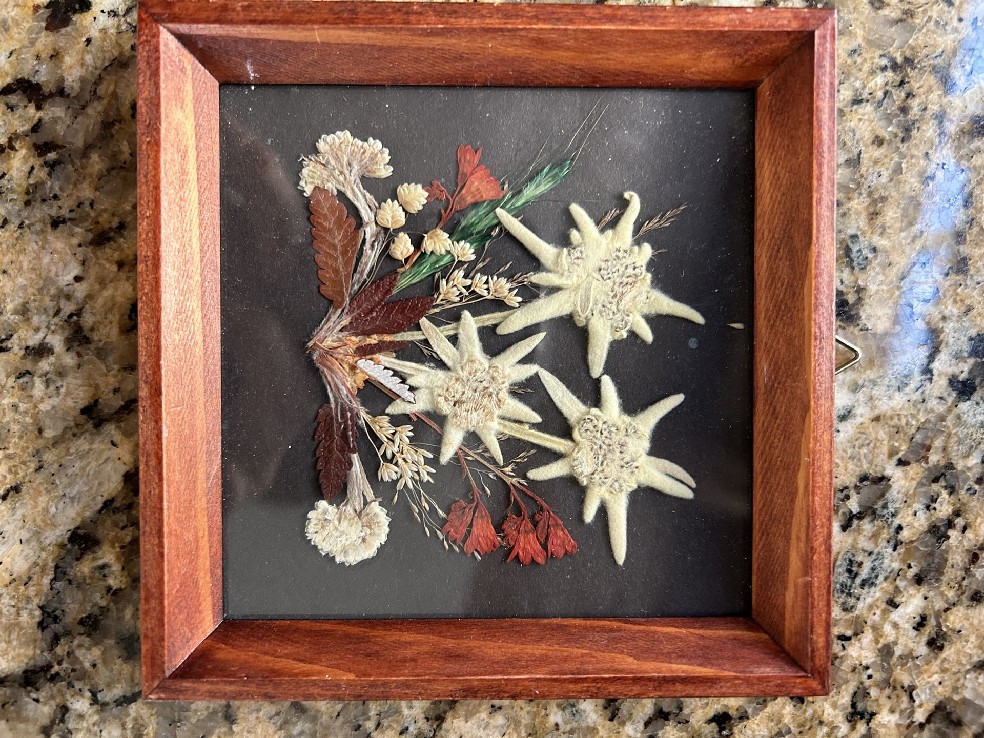 Pretty Framed Picture