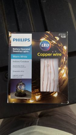 LED copper wire lights