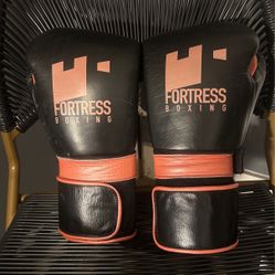 FORTRESS BOXING SS2.O V Sparring Gloves 14Oz