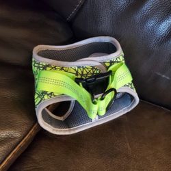 Small Dog Harness Like New