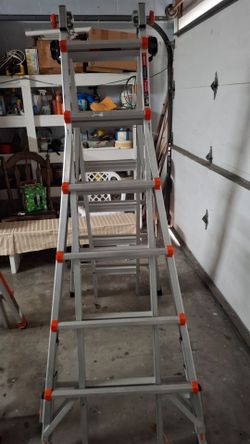 2 little giant ladders