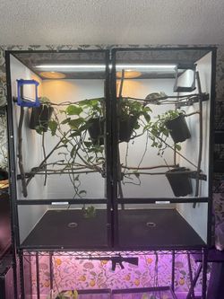 Chameleon Cages And Accessories