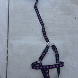Large Dog Harness
