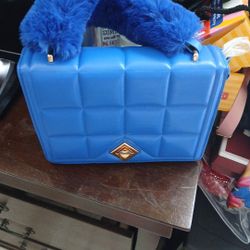 Blue Purse 