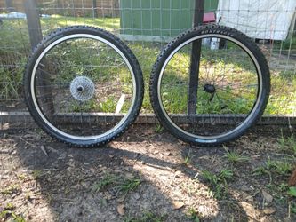 Bontrager MTB Wheelset with Tires