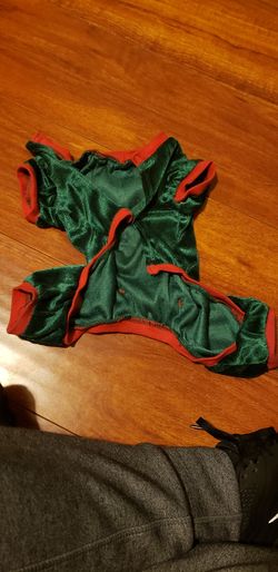 Dog outfit