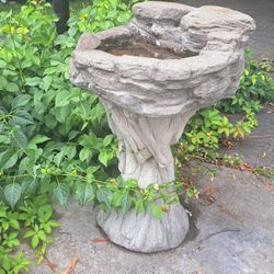 Bird Bath