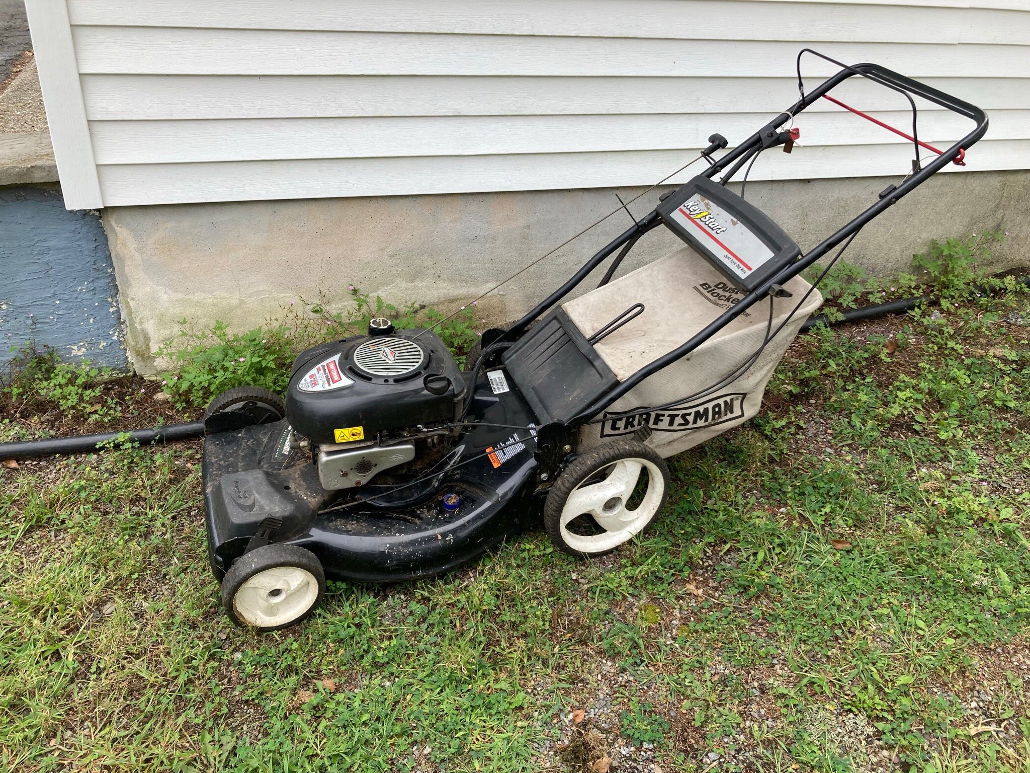 Lawn Mower For Sale $25