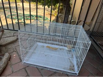 Bird cage