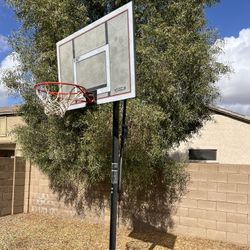Lifetime Adjustable 10’ Portable Basketball Hoop