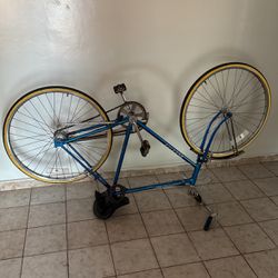 Swing Antique Bike