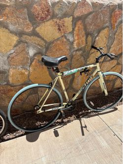 Adult Bike