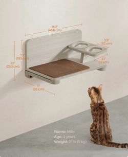 Cat feeding shelf