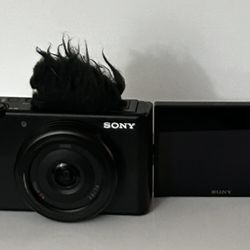 SONY Digital Camera ZV-1F