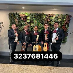 Trumpet Violín Mariachi 