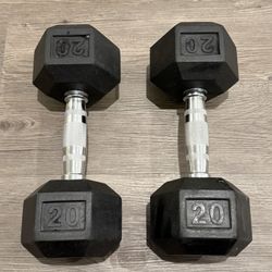 20 Lbs Dumbbells 