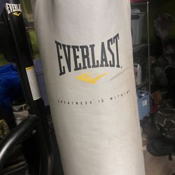 Boxing Bag Everlast
