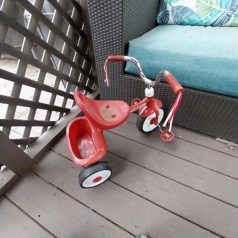 Tricycle Bike