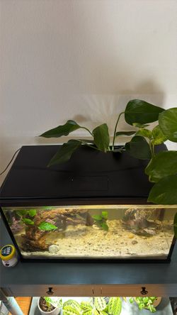 Aquarium Hood With Light