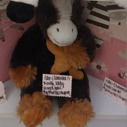 Goffa Derby Winner Horse