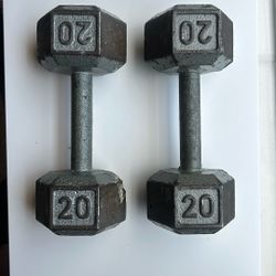2 Dumbbells, 20 Pounds Each