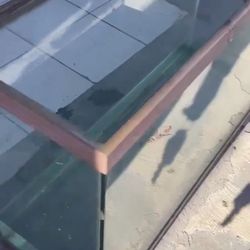 60+ gallon Tank  Made Out Of Hard Wood 