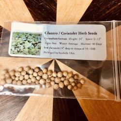Cilantro Seeds, Nursery-Grown