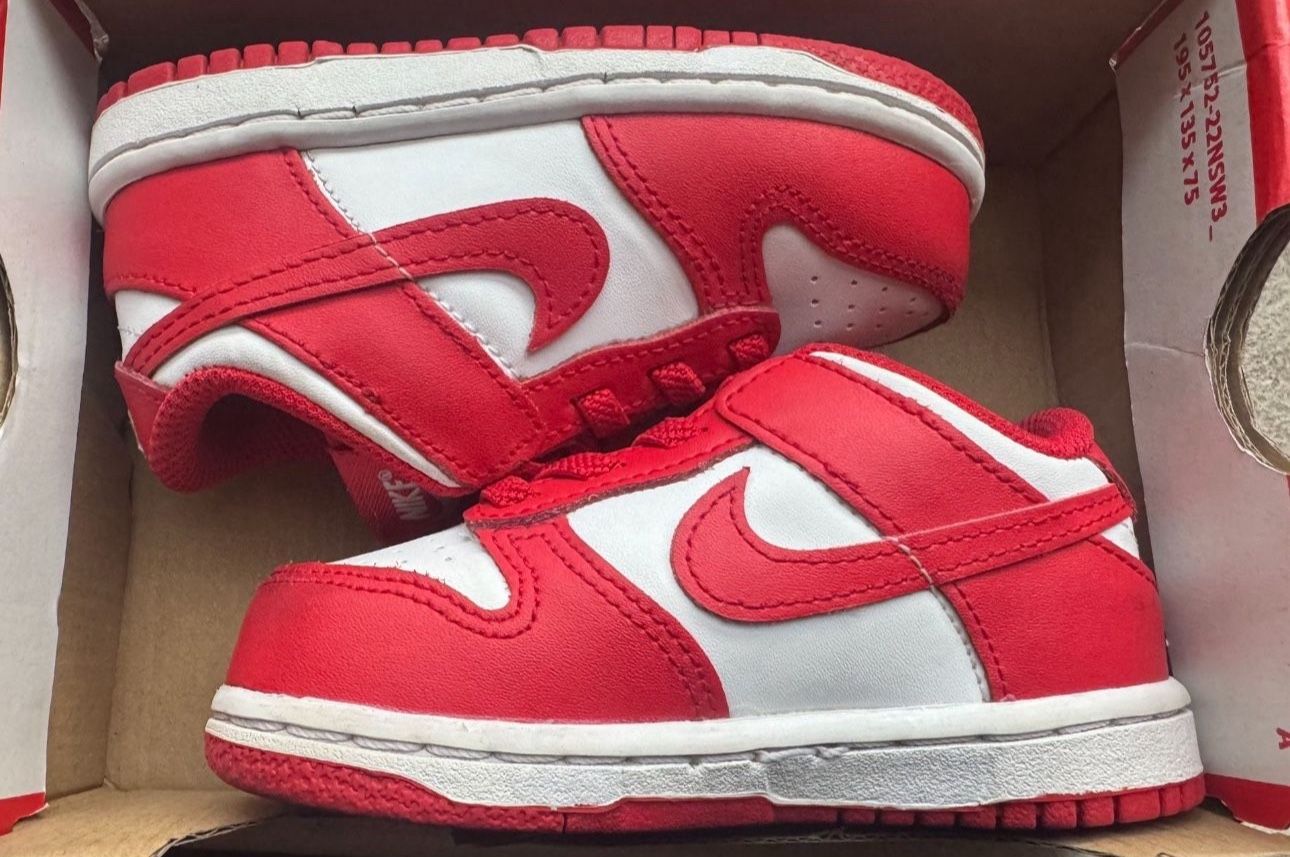 Nike Dunk Low (Toddler 7C) FIRM ON THE PRICE