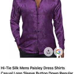 Hi-Tie Silk Mens Paisley Dress Shirt