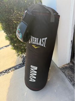 Punching Bag