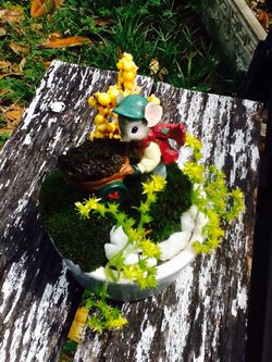 Teacup Fairy Garden...Live Moss And Plants