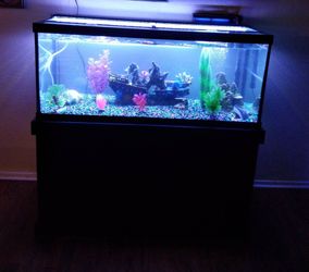 75 gallon Large Aquarium Fish Tank with Stand and Decorations