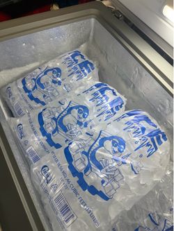 10 pound ice bags 1.50$