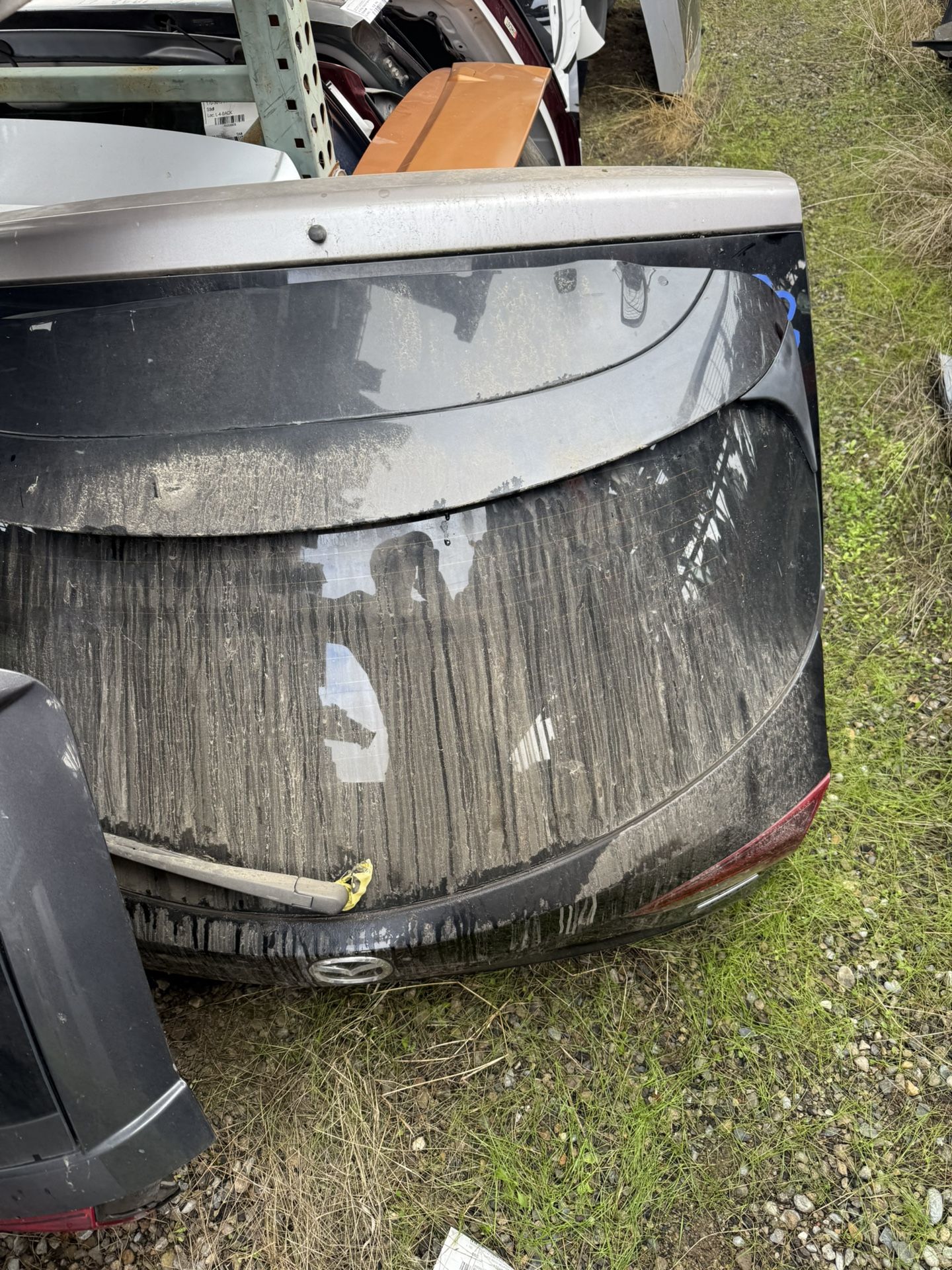 Tail Gate Trunk Lid 2016 Mazda3 Mazda-3 Gray