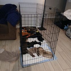 Small frenchy dog cage