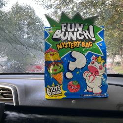 Fun Bunch Mystery Bag