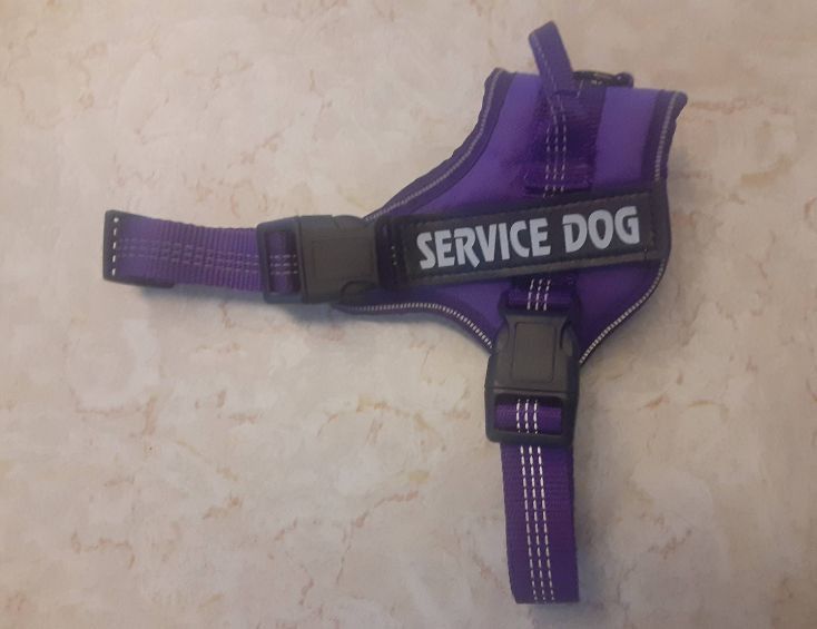 Service Dog Harness