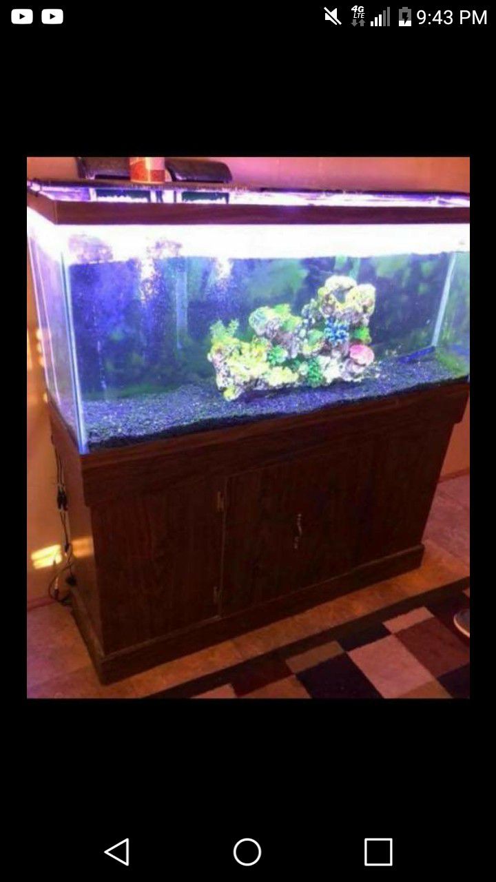 55 gal Fish tank with led light. Located in madill ok 225